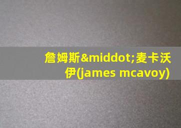 詹姆斯·麦卡沃伊(james mcavoy)